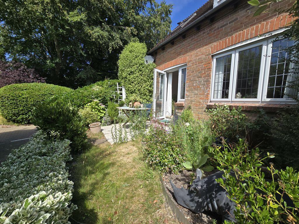 Steyning photo 4