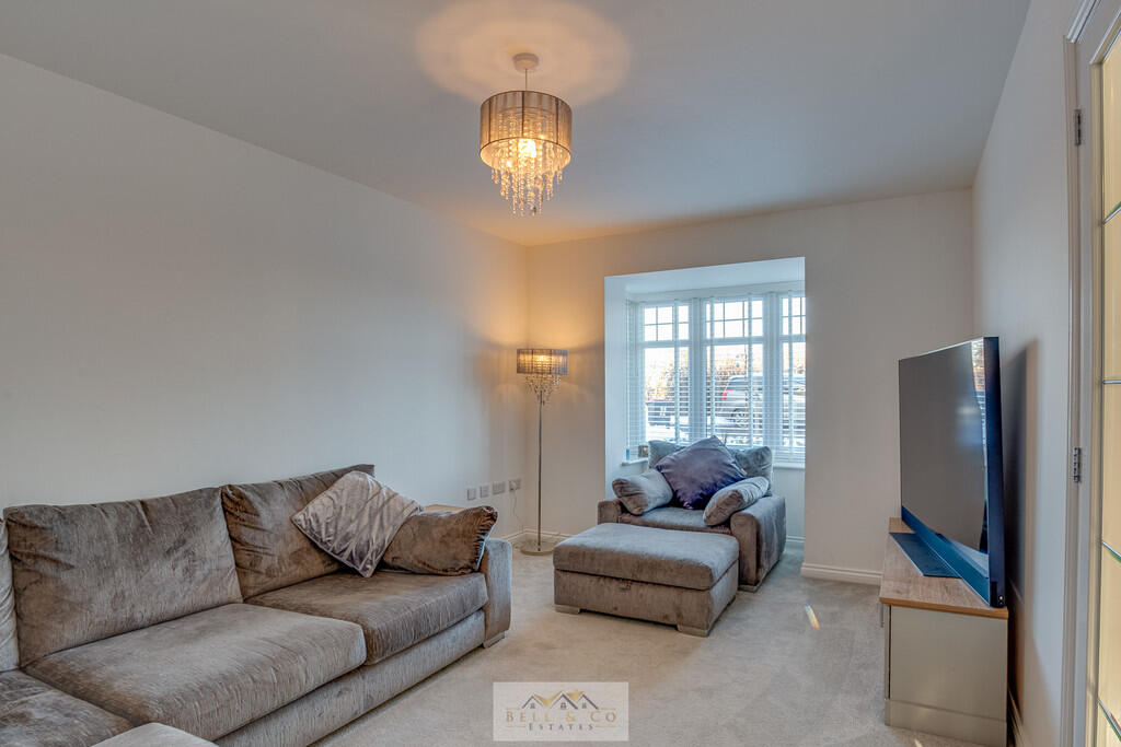 Cottongrass Gardens, Throapham, Rotherham - More