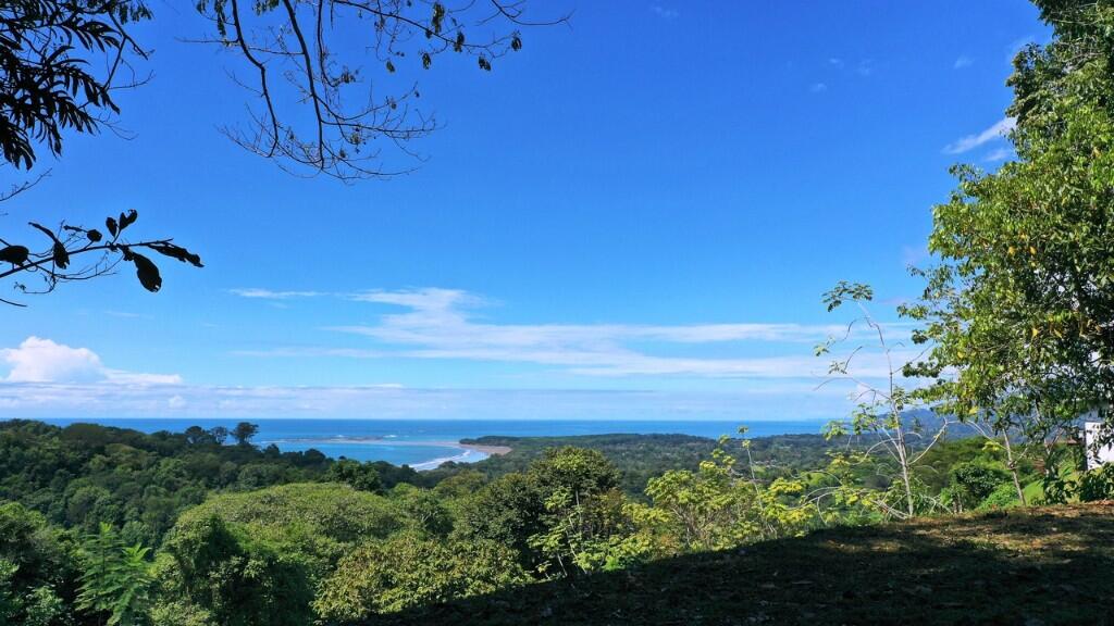 Main image of property: Dominical