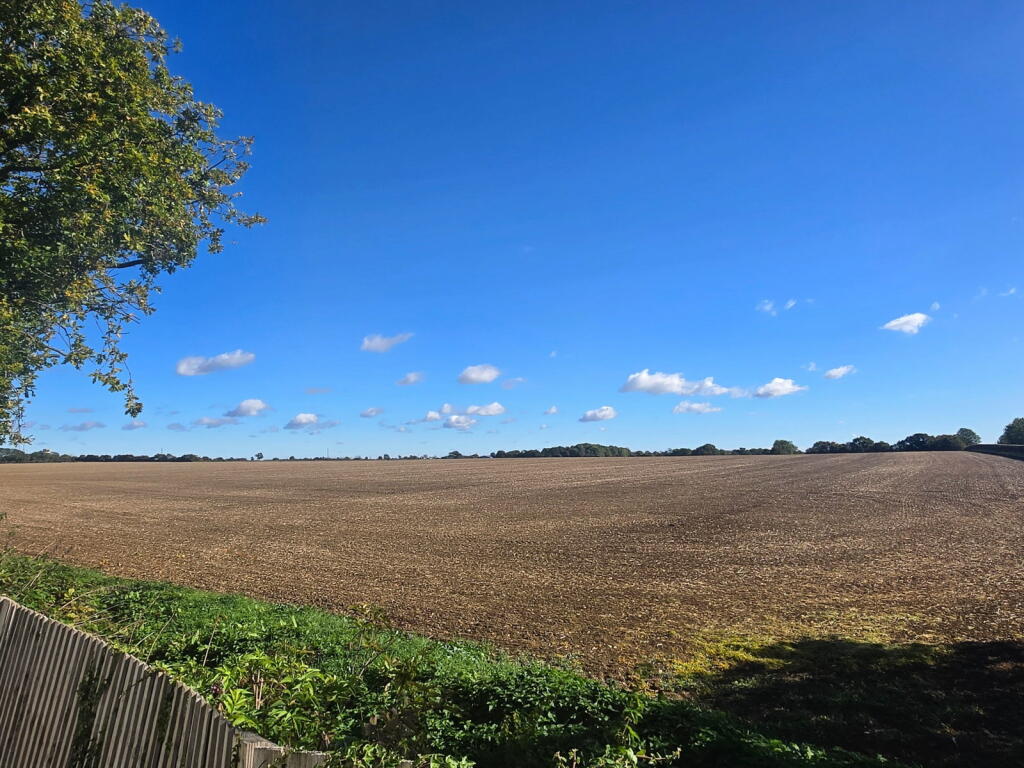 House in Ware, Braughing Friars, Braughing - View 4