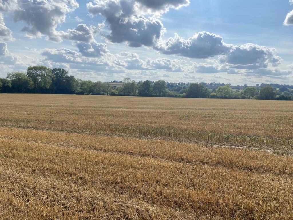 Lot 1- Land At Byfield, Daventry, Northamptonshire, NN11 6XU