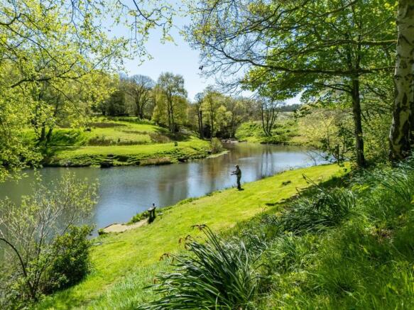 New Mills Trout Fishing Park