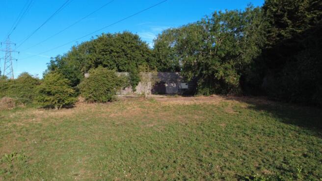 Field