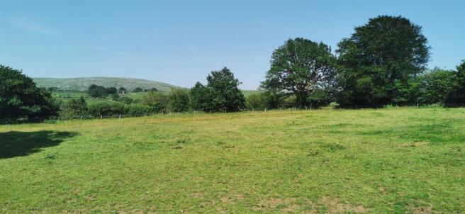 Lower Paddock