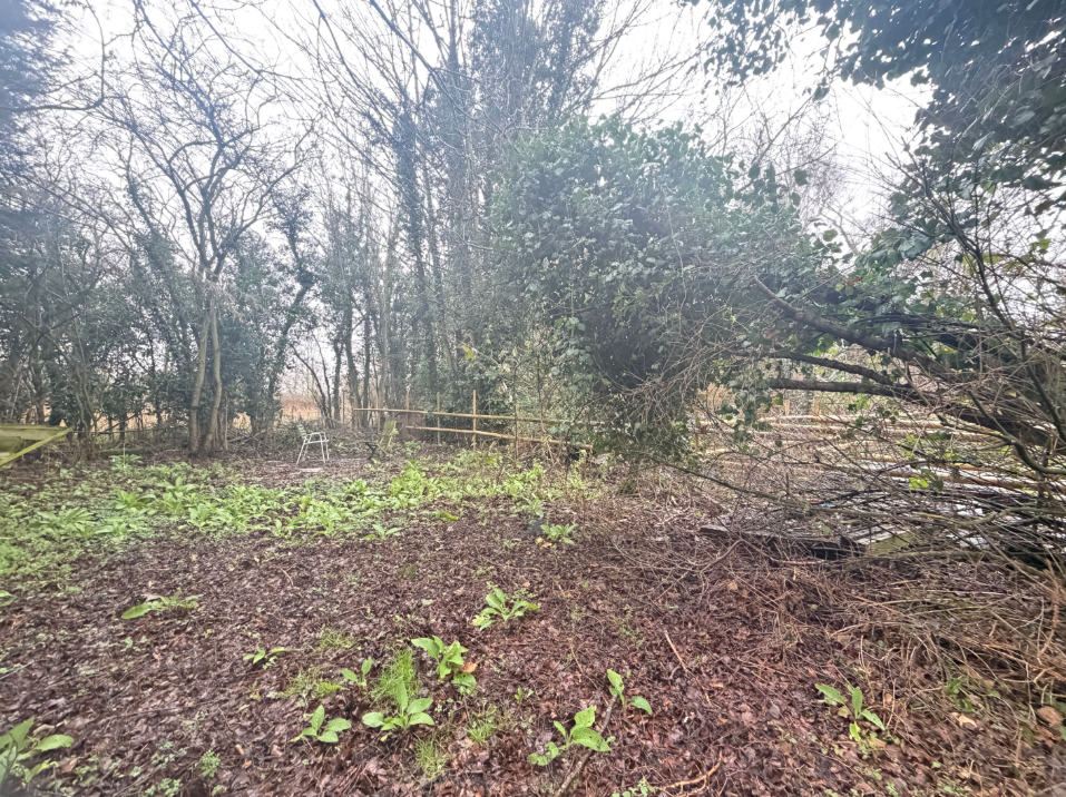 Plot 1, Abbey Street
Ickleton, Saffron Walden, CB10 1SS - View 5