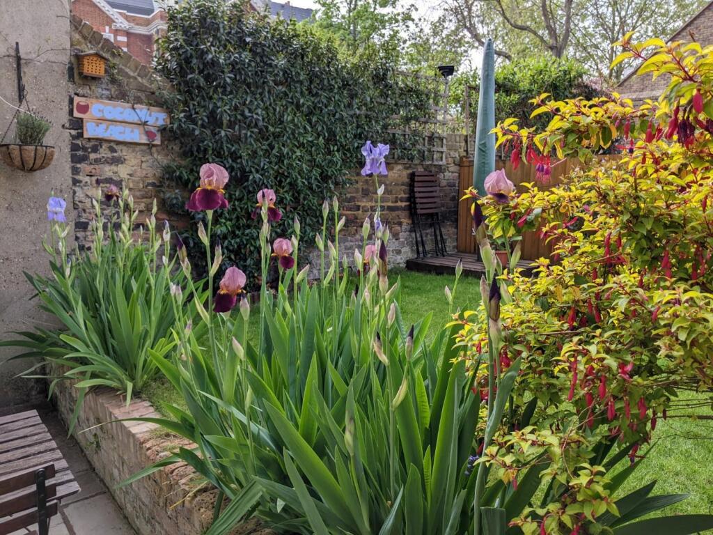 Apartment in London, Stockwell Park, Stockwell - View 4