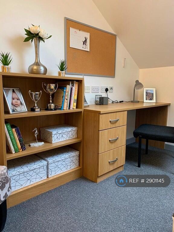 1 bedroom flat share for rent