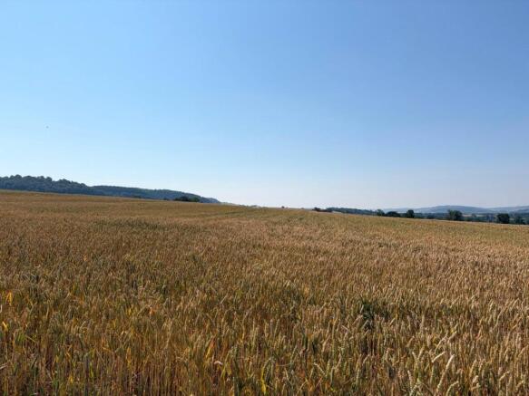 Picture No. 08