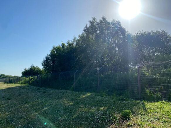 Greenery