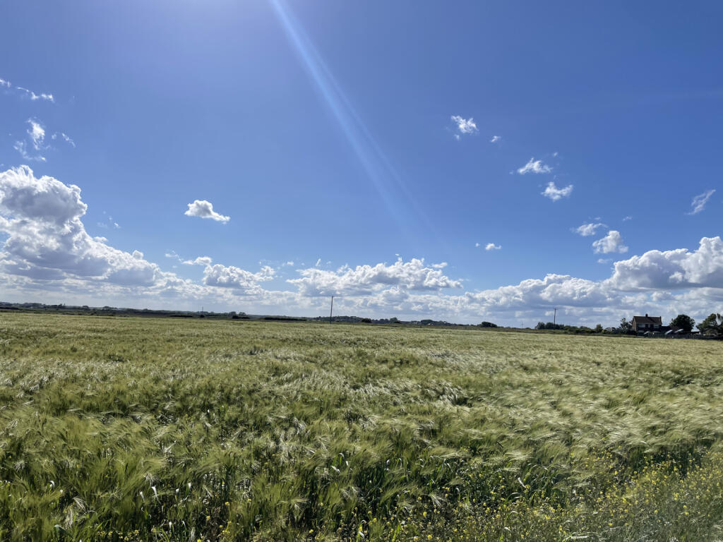 East Newton, Near Aldbrough - View 4