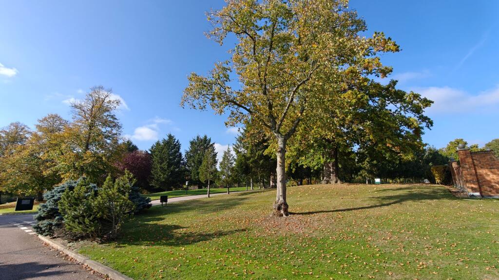 Additional image 26 of The Courtyard, Bedwell Park, Essendon, AL9