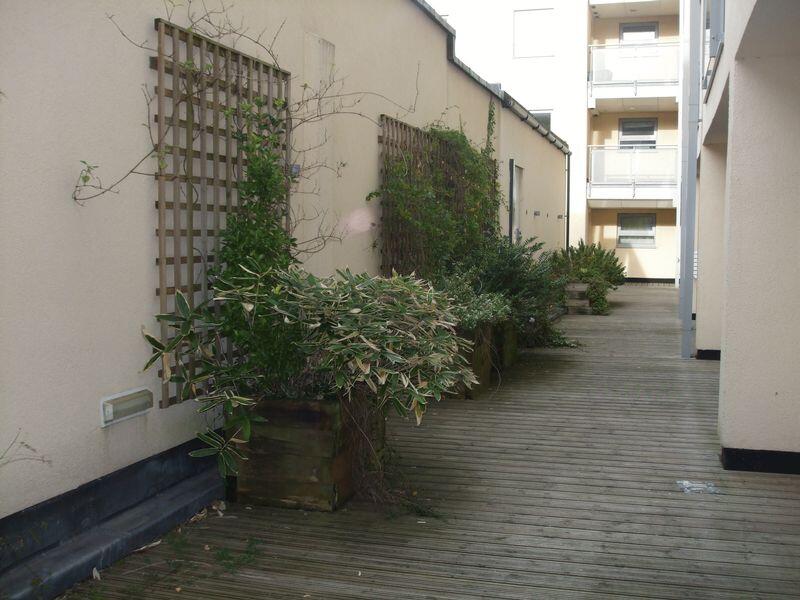1 bedroom ground floor flat for rent