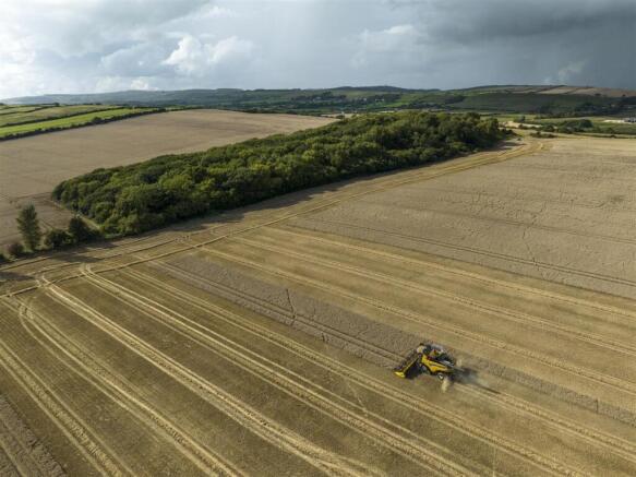 Corton Farm - Land
