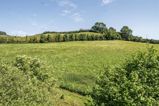 1465442-1-6a174b9af3328.jpg