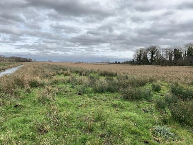 Main image of property: 9.83 Ha (24.29 Ac) Grazing Marshes, Lower Road, Rockland St. Mary, Norwich, Norfolk, NR14