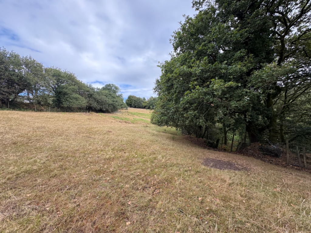 Plympton, Plymouth, PL7 - View 5