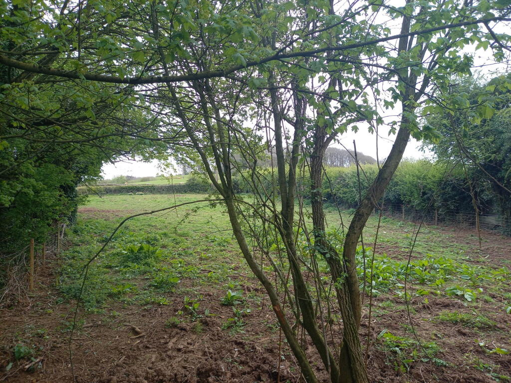 Main image of property: Falcon Lane, Ledbury HR8