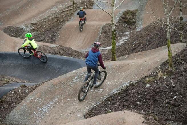 13863_skills track_natural resources wales_no restrictions_n_a.jpg