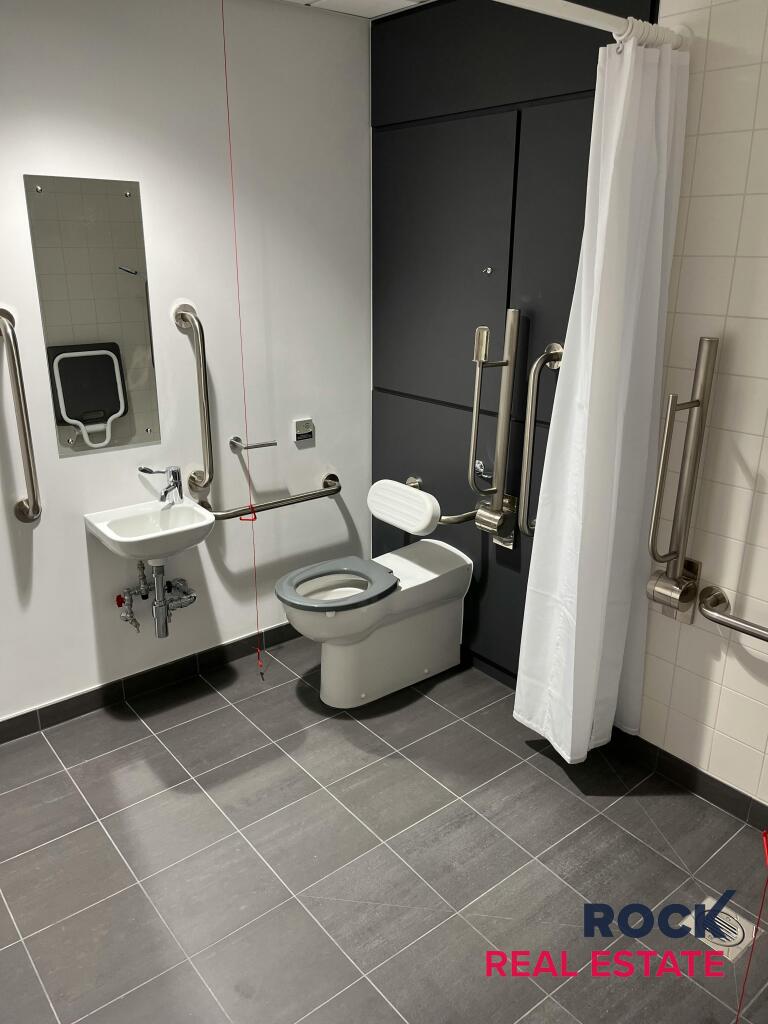 Toilet Lowry .jpg