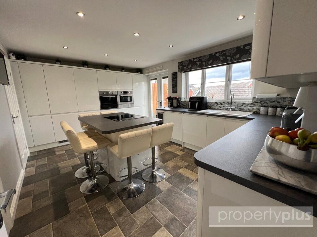 Parc Gellifaelog, Tonypandy, Rhondda Cynon Taff, CF40 photo 3