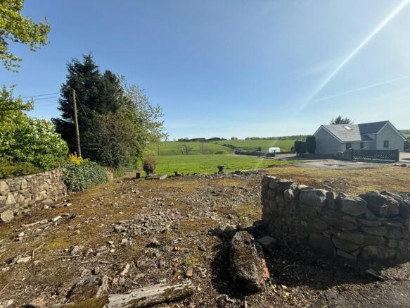 Image 15