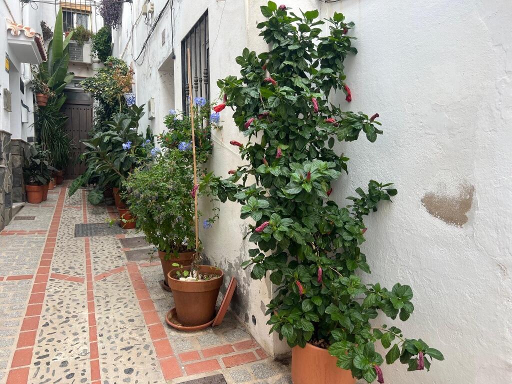 Main image of property: Casarabonela, Málaga, Andalusia