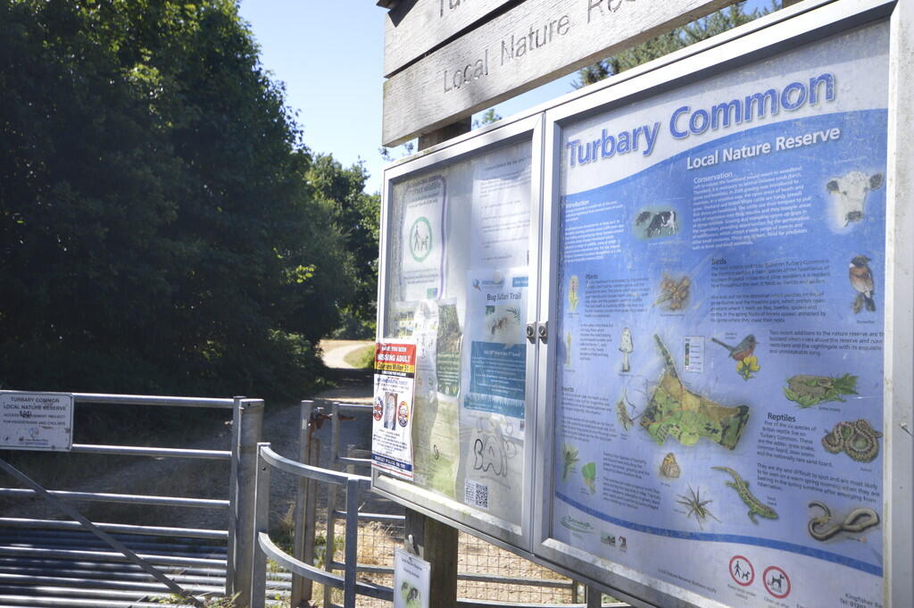 Additional image 14 of Turbary Park Avenue, Bournemouth
