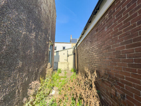 IMG 2051 T202607200838.jpg