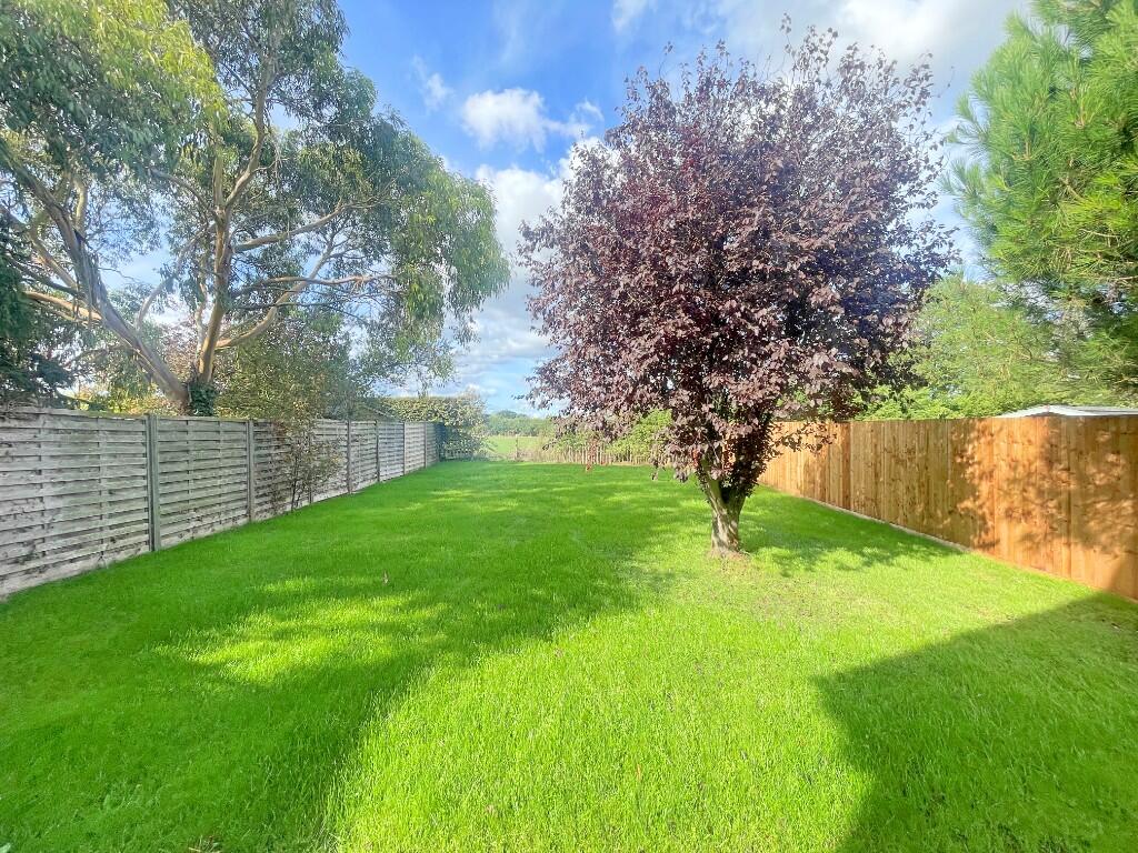 Rose Lane, SALCOTT photo 4