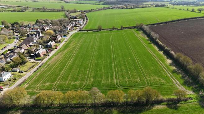 DJI_20260321112633_0169_D.JPG