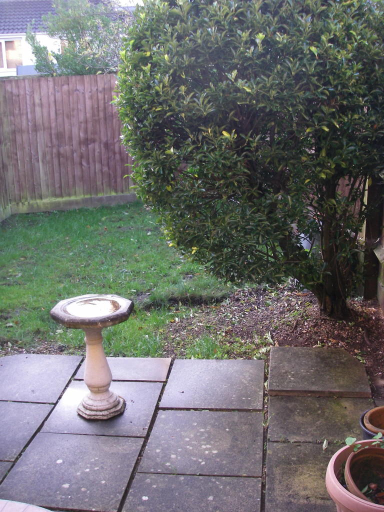 Photo of the property
