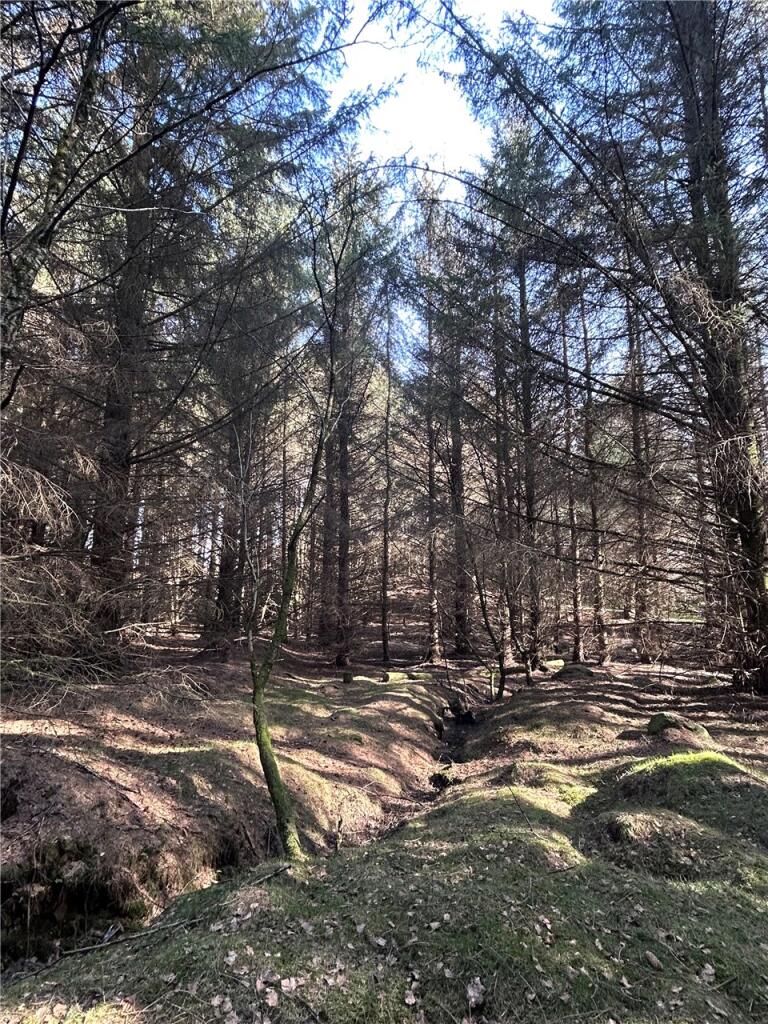 Additional image 4 of Kinkell Wood, Cothal, Aberdeen, AB21