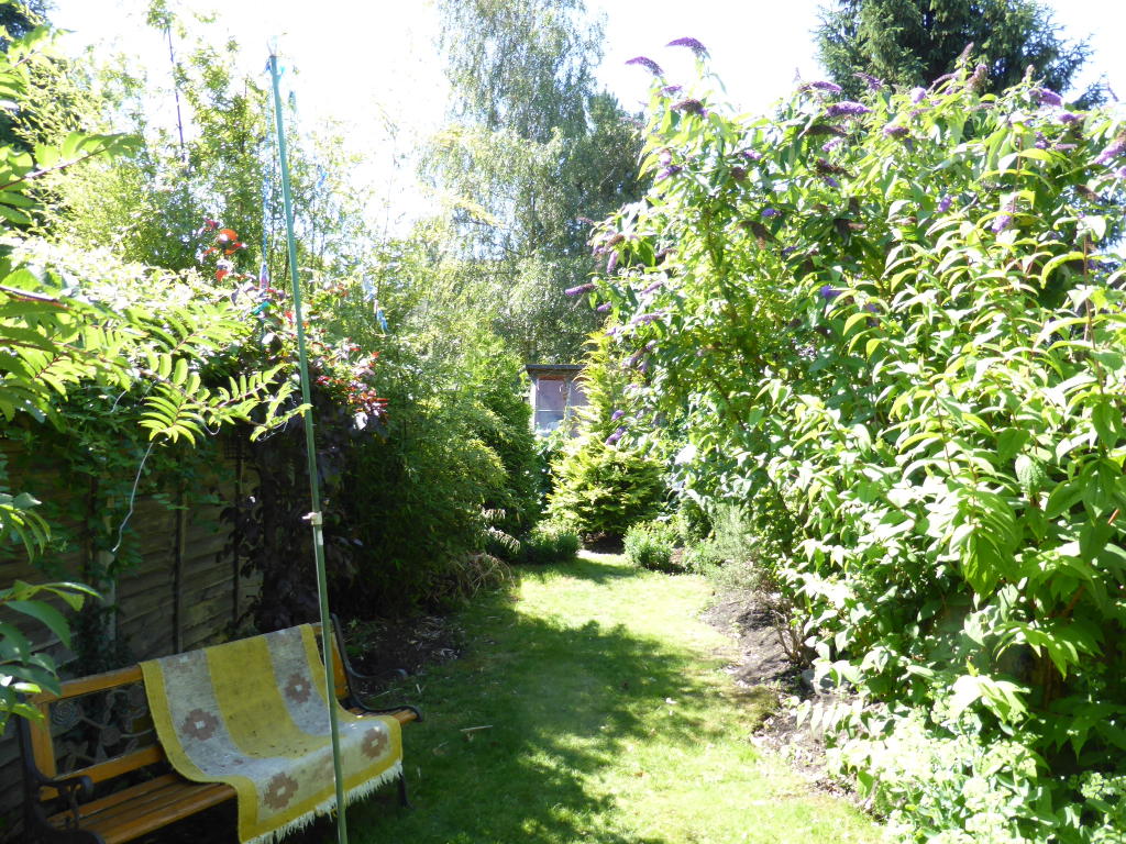 Photo of the property
