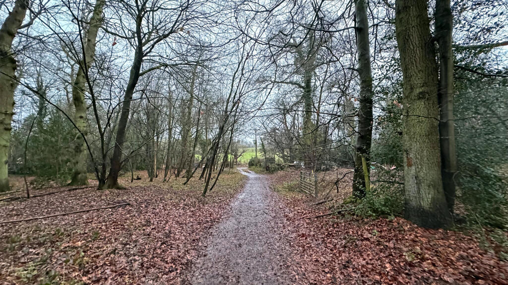 Full vehicular access to the woodland.