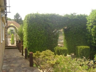 Photo of the property