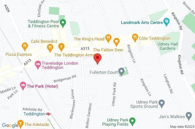 Google Maps Image
