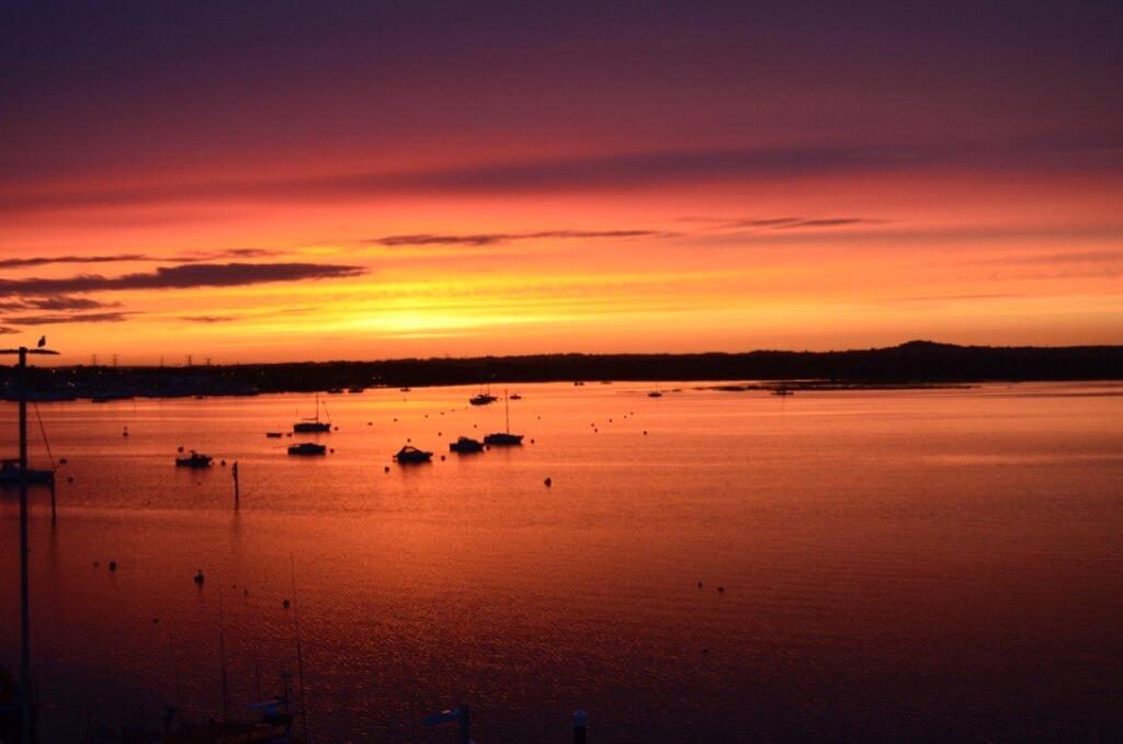 Additional image 19 of The Horseshoe, Poole, Dorset, BH13