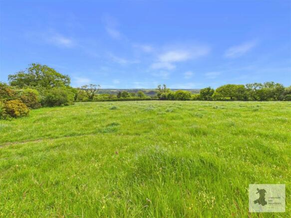 field