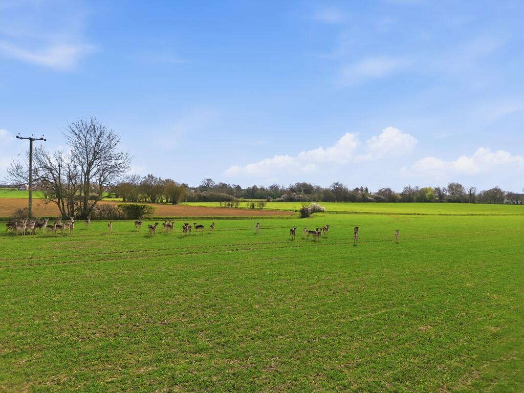 8 Peverell Gardens, Stebbing photo 3