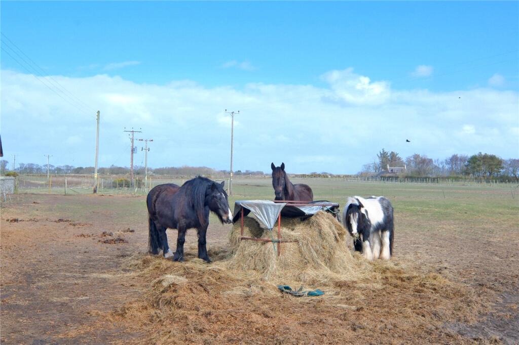 Additional image 20 of Schoolhouse, Lonmay, Fraserburgh, Aberdeenshire, AB43