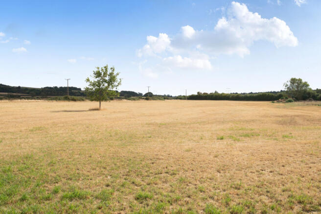 Field