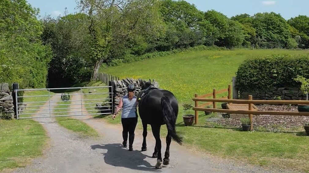 Cae'r Ysgol Farm, Tonyrefail, Porth photo 3