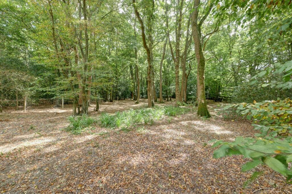 Hempstead Lane, Hailsham, BN27 photo 3