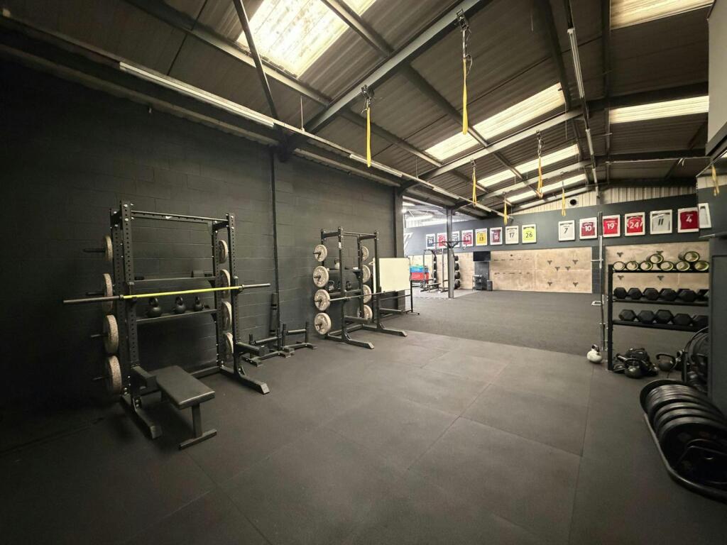 p3.jpg