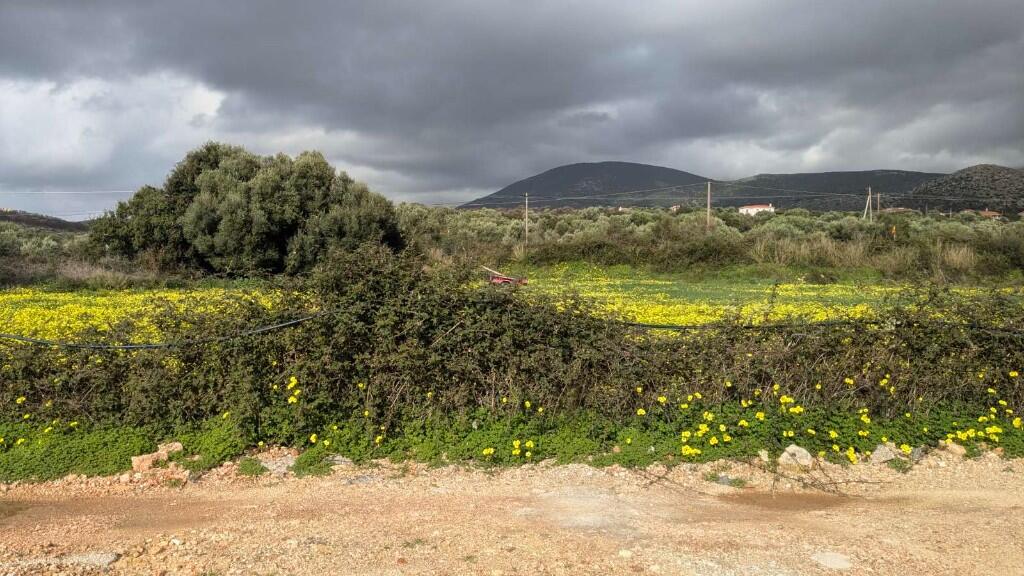 Main image of property: Dorizata, Cephalonia, Ionian Islands