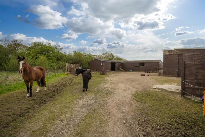 1761-047.jpg