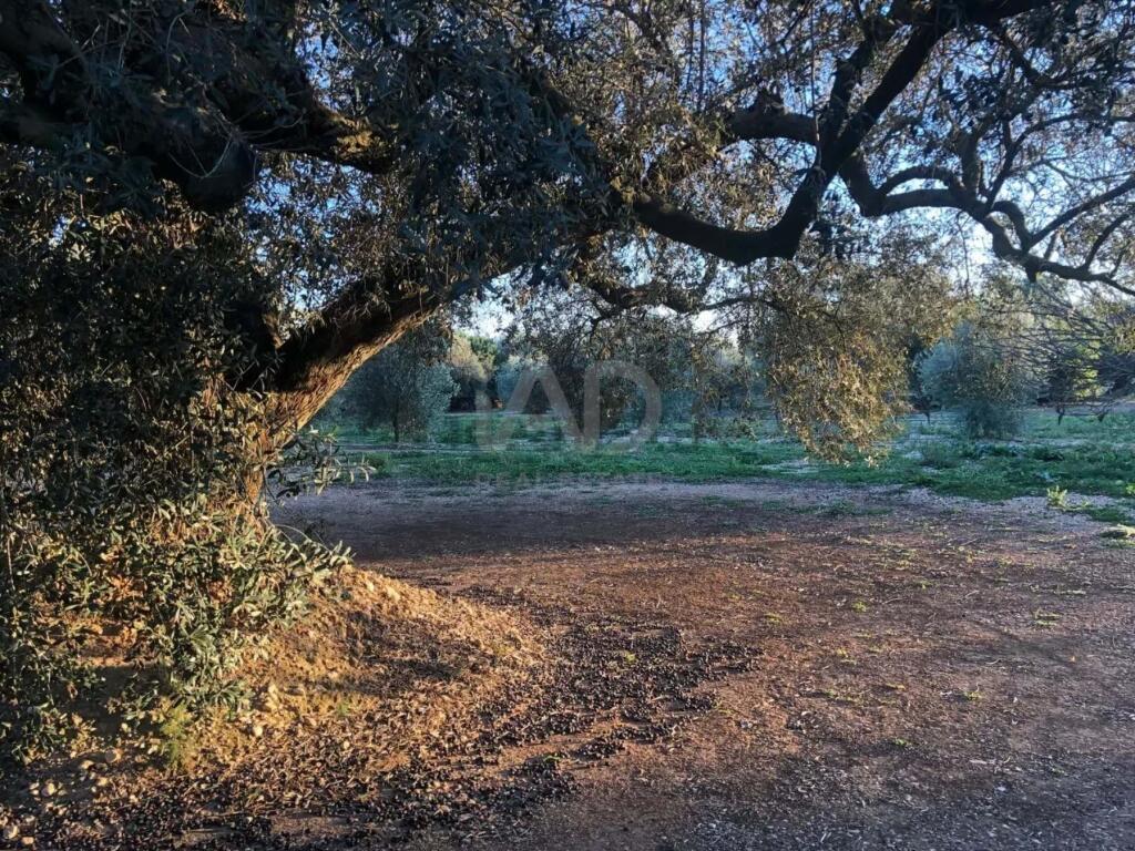 Main image of property: Valencia, Castellón de la Plana, San Rafael del Río