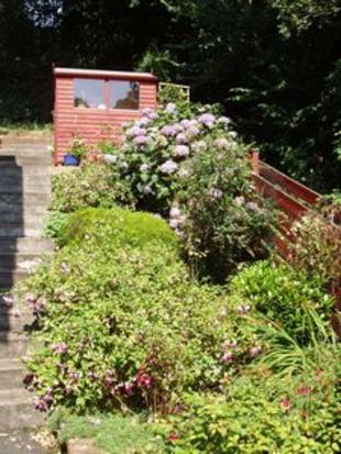 Photo of the property