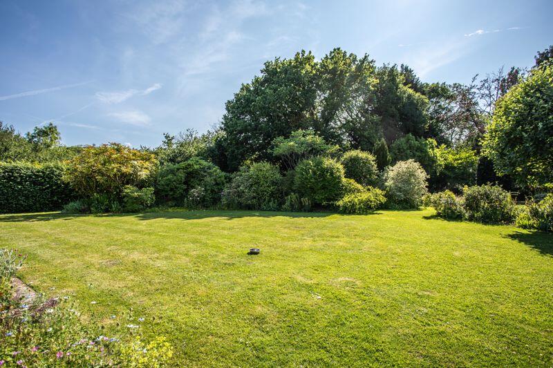 Shirleys, Ditchling photo 3