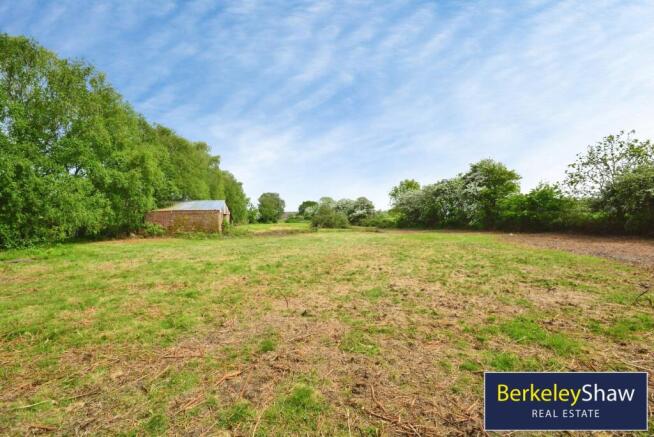 Back Field